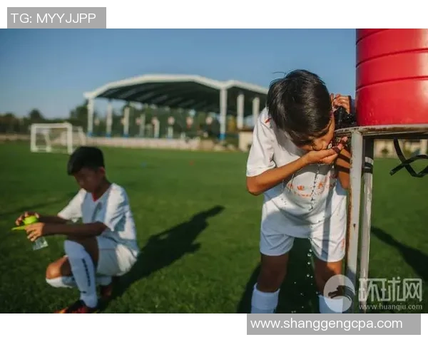 健身房训练的足球球星如何塑造强健体魄与竞技状态