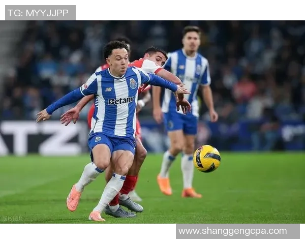 波黑足球球星崛起之路：从年轻才俊到欧洲赛场的明星之旅