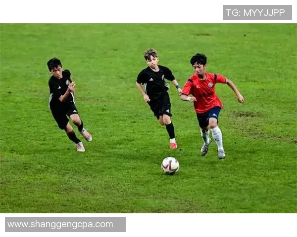 燃爆绿茵的艺术足球盛宴全球球星花式技巧精彩集锦